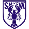 Салькова